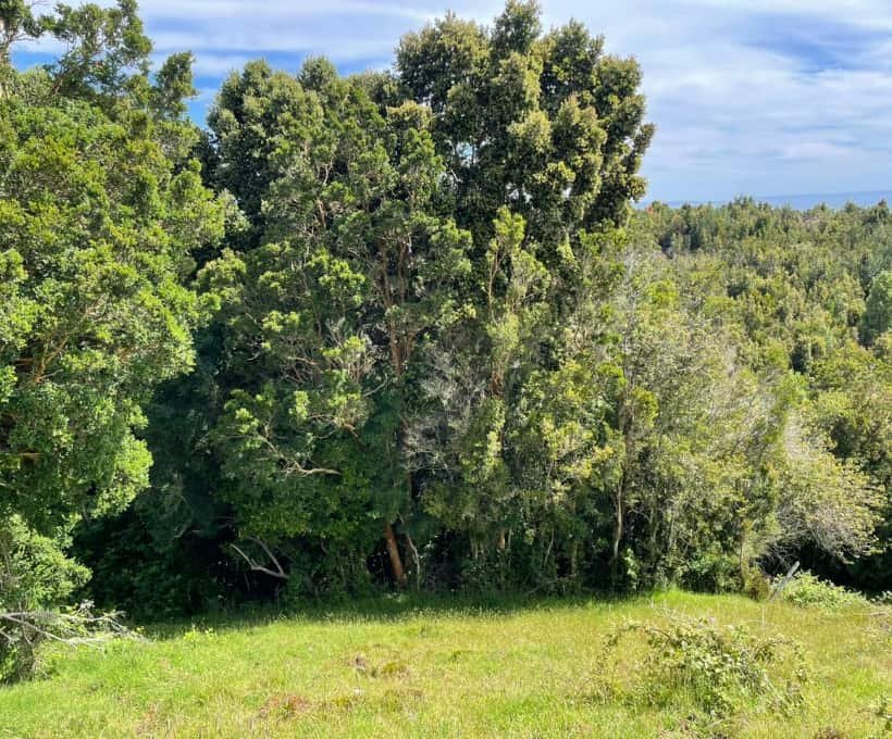 Lote b Piedra Azul -17