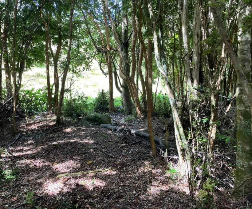 Lote b Piedra Azul -19