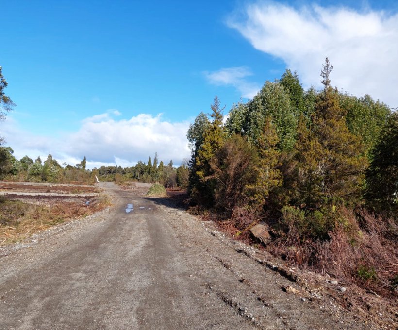 Parcela los Cipreses 5500m2, Lagunitas, Puerto Montt