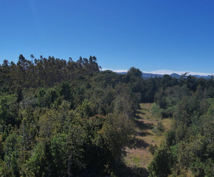 BIke Park Volcan Osorno