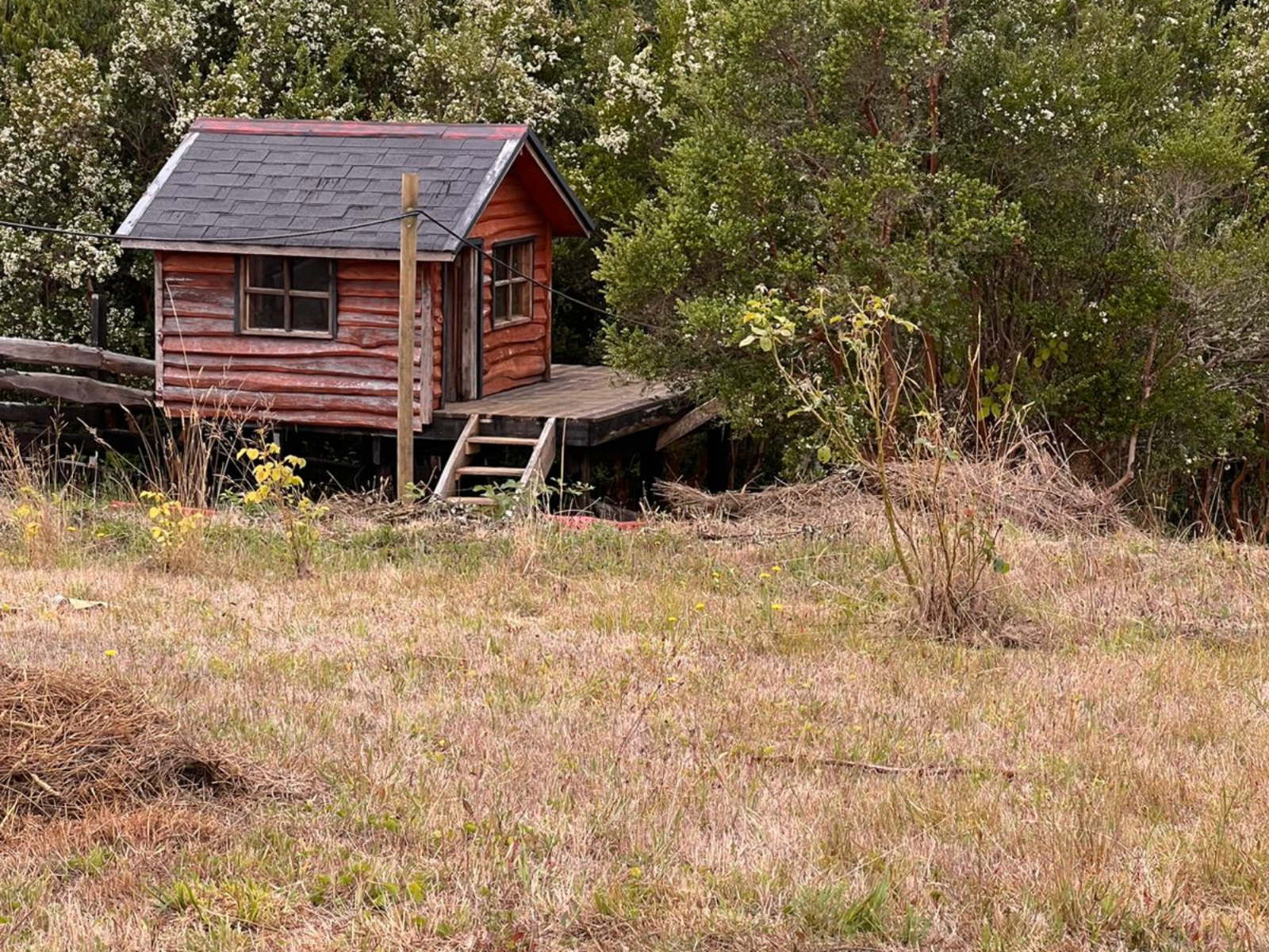 Proyecto Cambiar tamaño de imagen-5